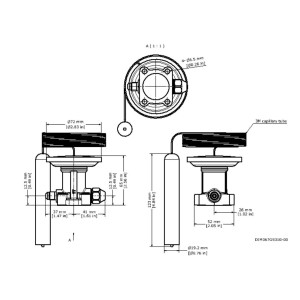 Danfoss Thermostatic Element R404 / R507 1/4 Flare Pressure Equalizer Range -40F to -50F Capillary Tube 118in 067G3302 TES55